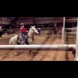 Meet your Posher, Neelie